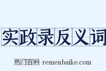 实政录反义词是什么意思的图片